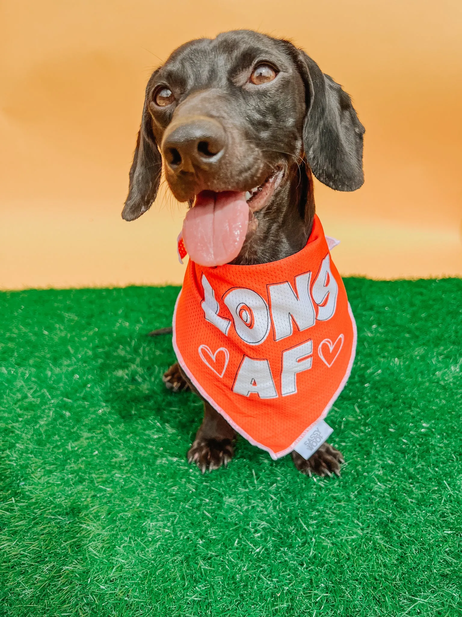 Dog Bandana - Long AF