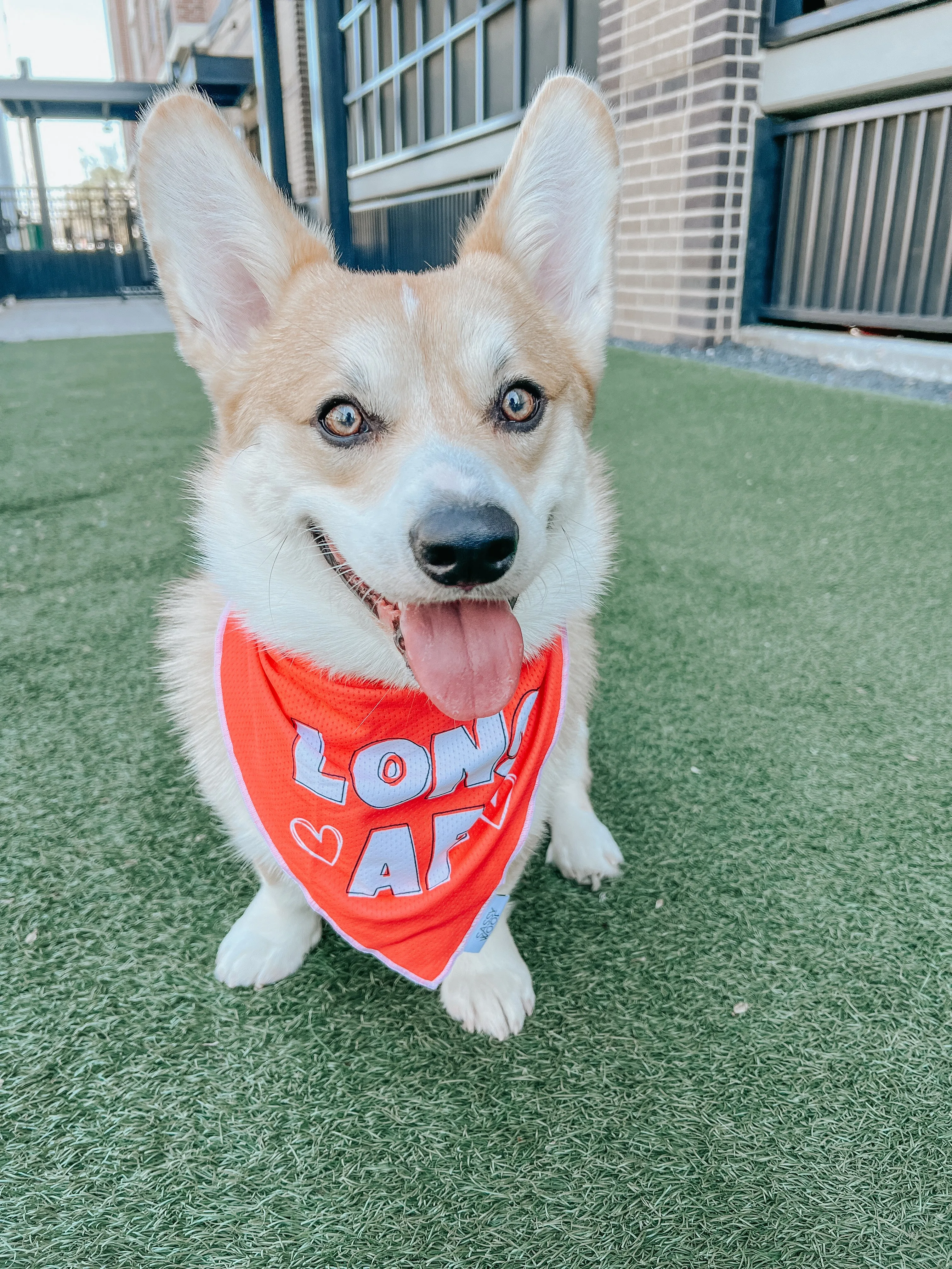 Dog Bandana - Long AF