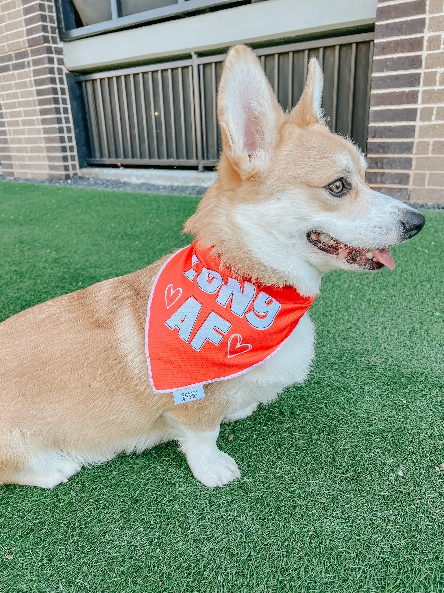 Dog Bandana - Long AF