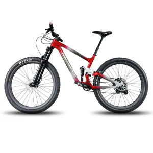 Trail Bike P1-Custom Paint-Sram NX EAGLE